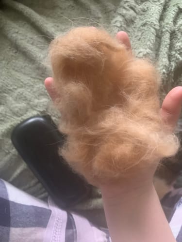 Customer photo review of Deshedding Brush (Black)