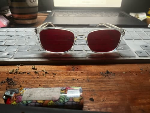 Customer photo review of wink calgary 03 600nm