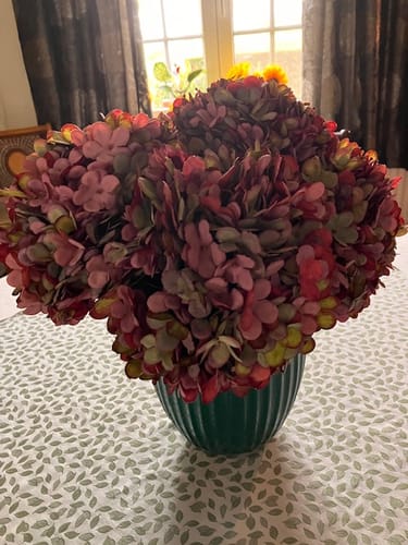 Fotorecensie van een klant over Grote Zijden Hortensia - Paars