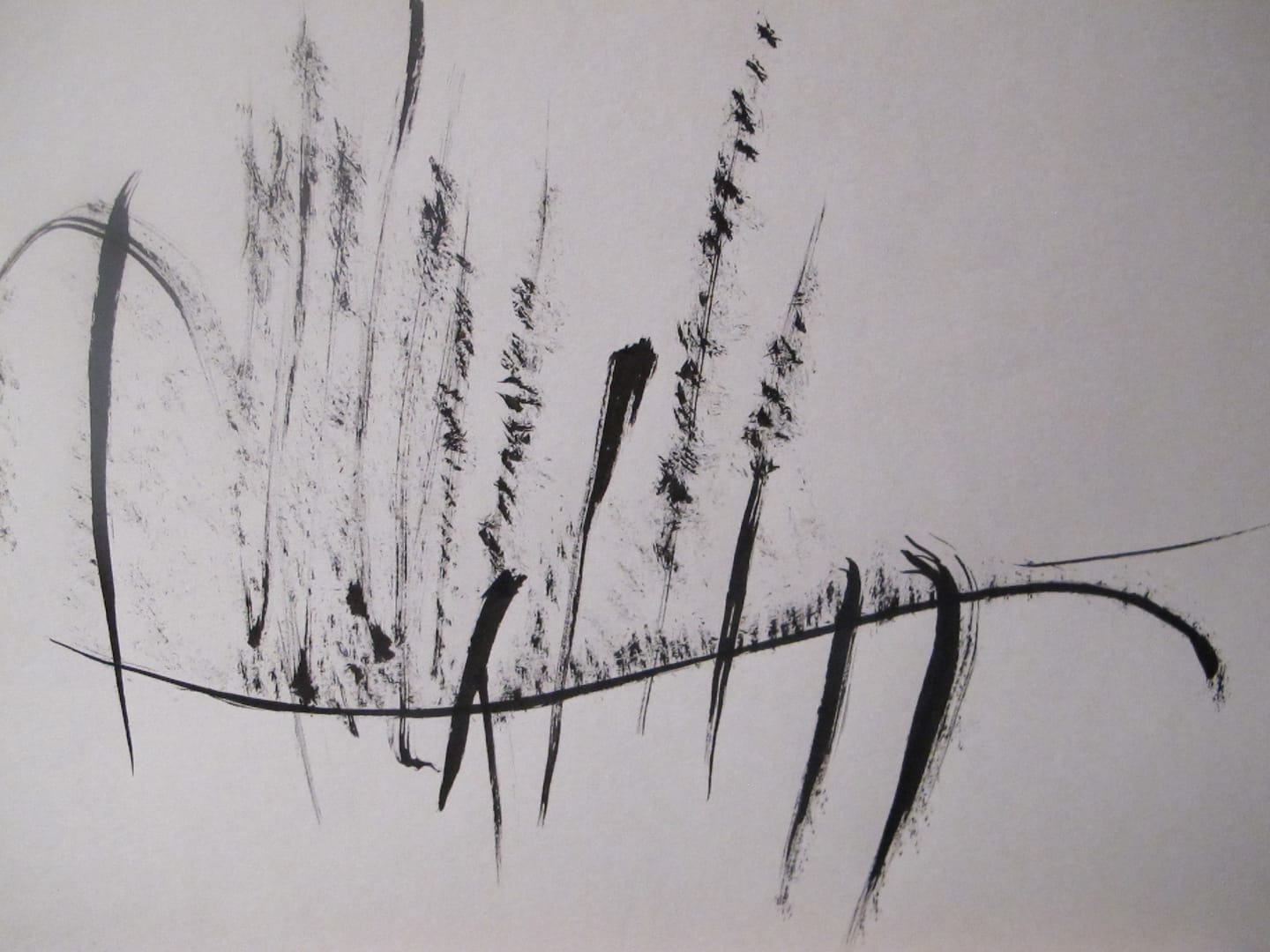 Customer photo review of Stylo Feutre Noir Pointe Fine Kuretake