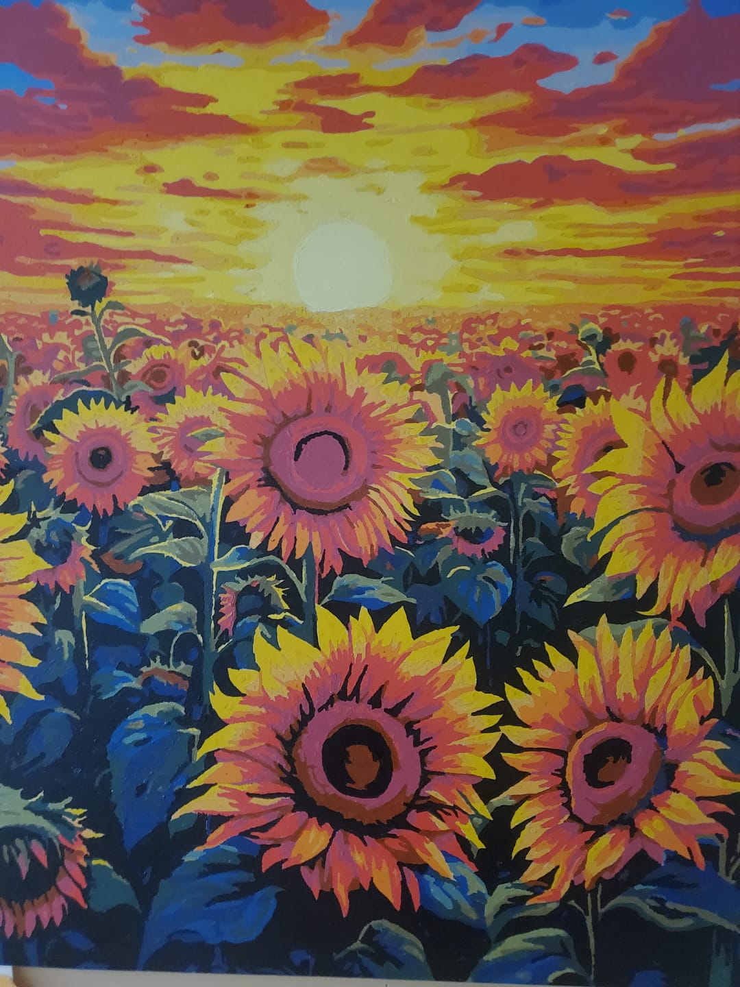 Customer photo review of Sunflower Dusk