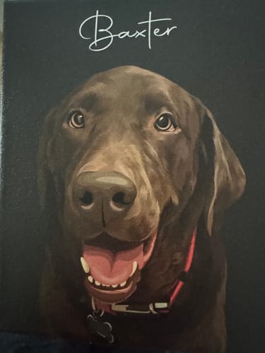 Customer photo review of Pet Art Canvas Wrap