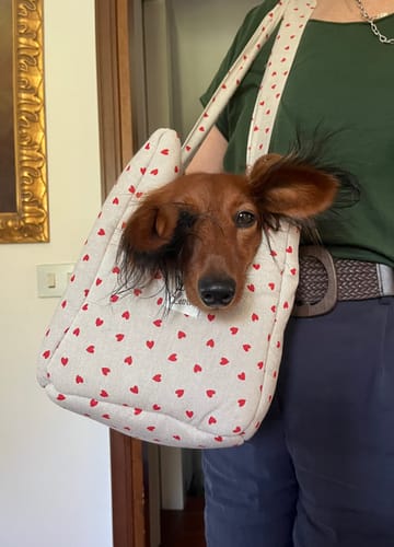 Customer photo review of Borsa Cotone Panama Little Love Heart Red