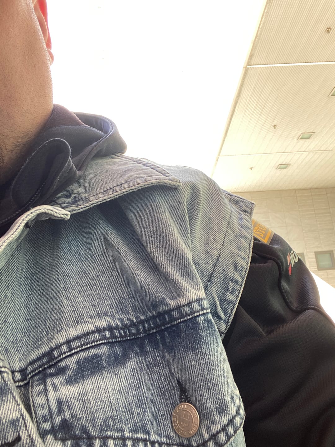Customer photo review of The Tomb Of The Blue-tilated - Vest