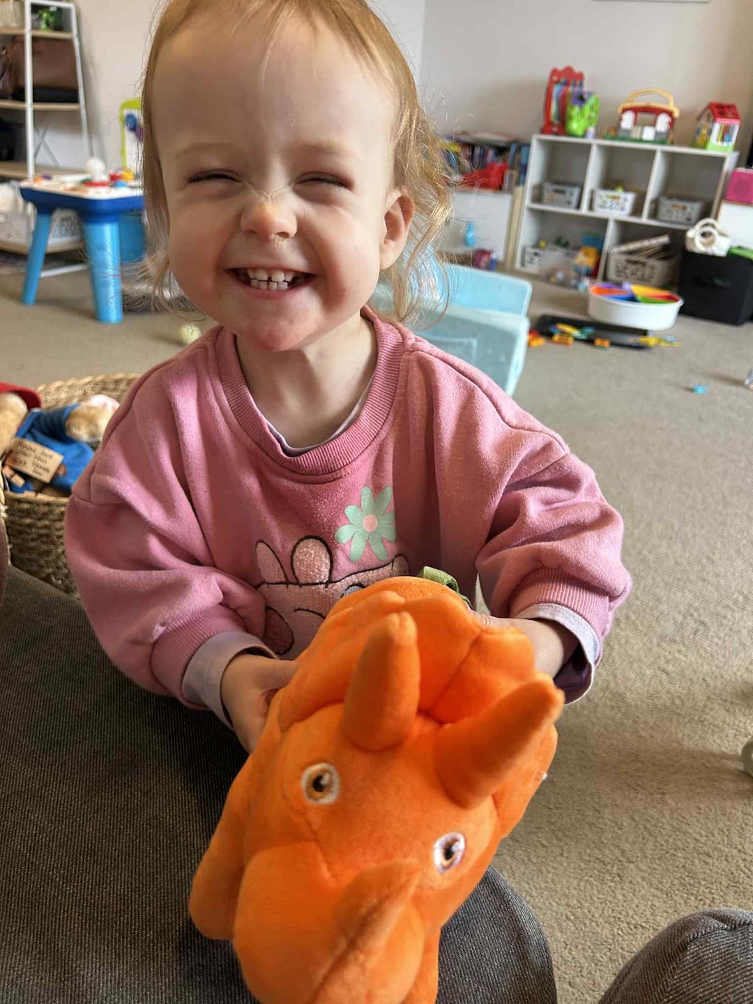 Customer photo review of Vegesaurs Plushie - Ginger