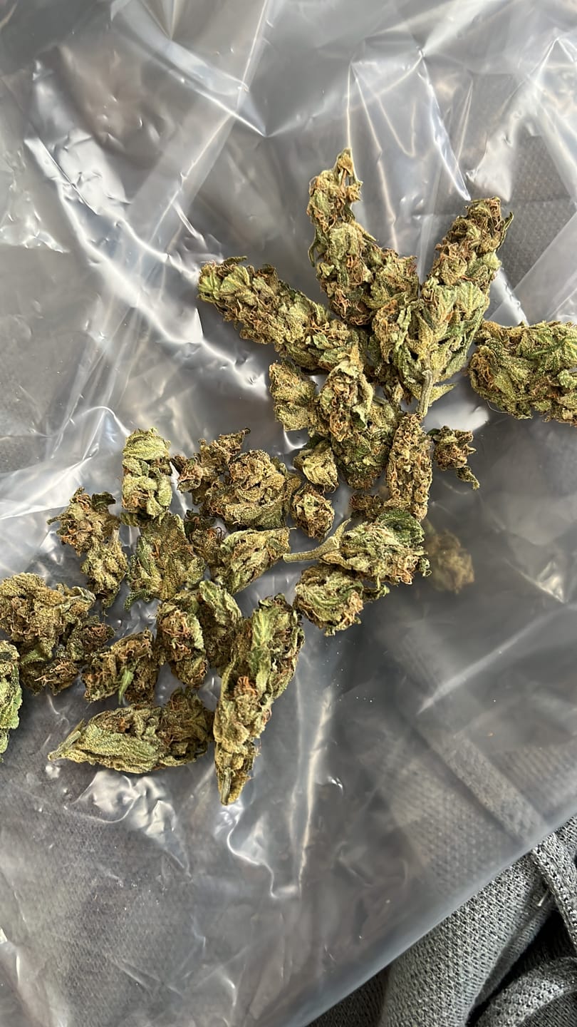 Customer photo review of Dry Ferm Bag (3er Set)