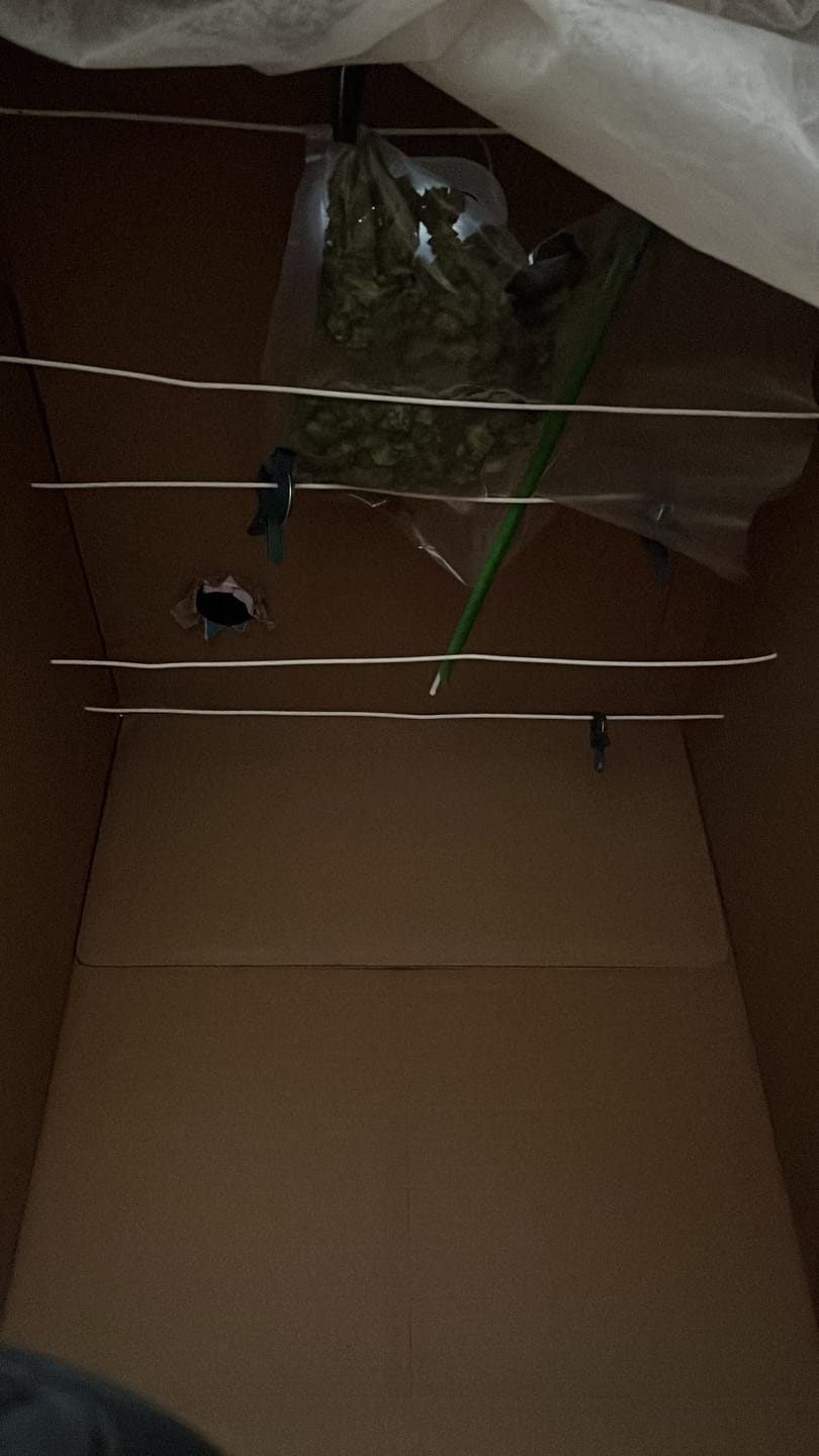 Customer photo review of Dry Ferm Bag (3er Set)
