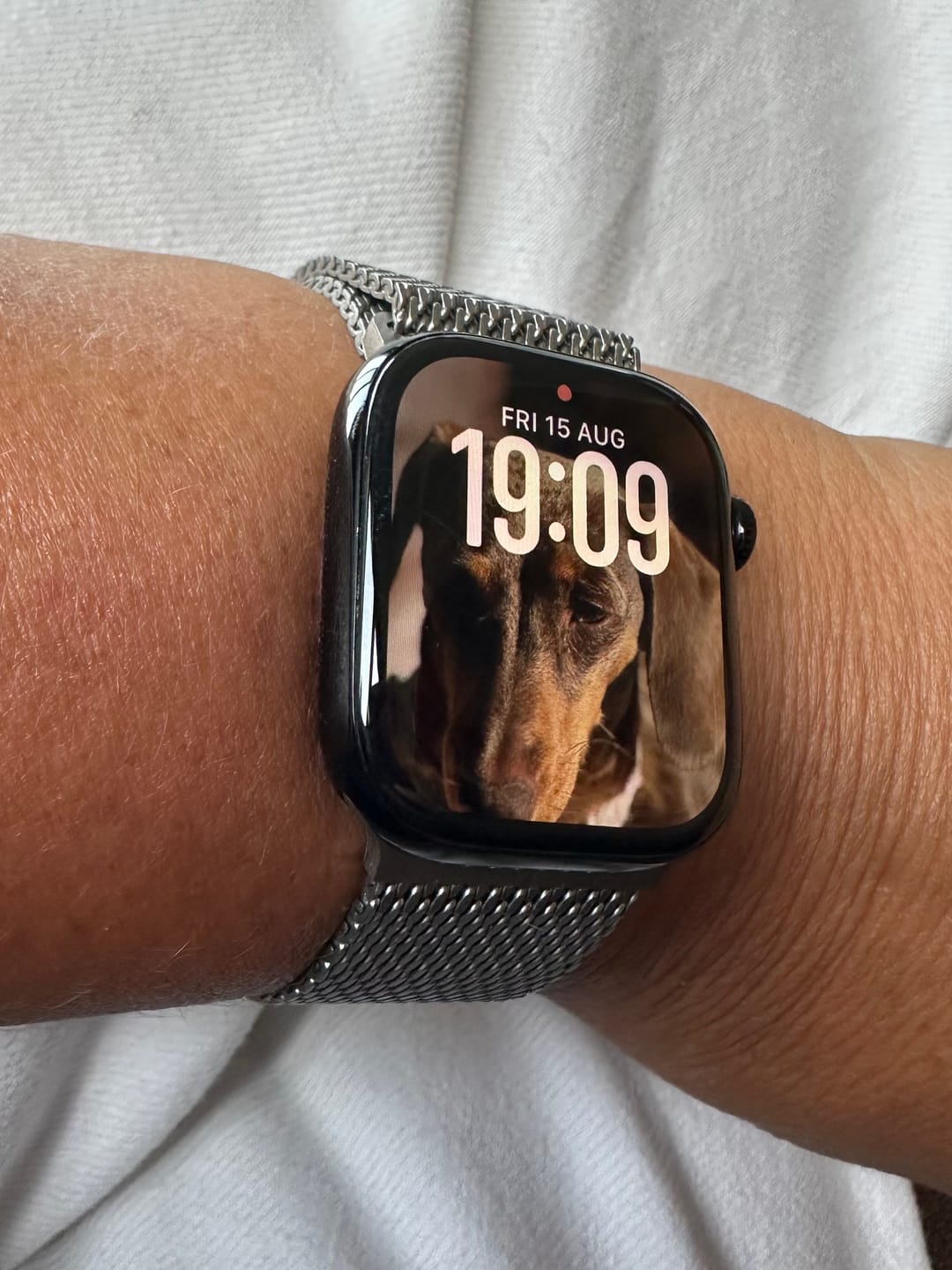 Customer photo review of Ultimate Titanium Milanese Loop Strap for Apple Watch