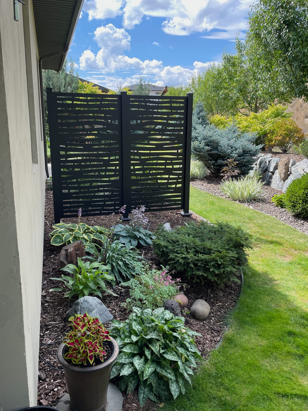 Customer photo review of Privacy Screen (Branch)