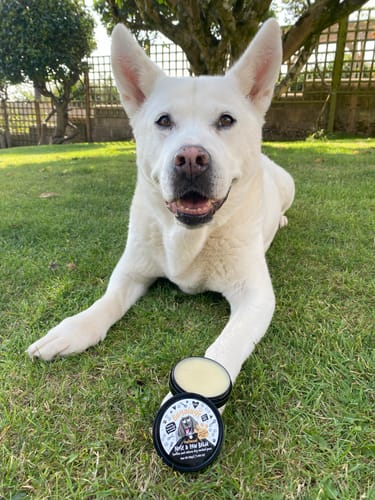 Customer photo review of Oatmeal Nose & Paw Balm Pot for Dogs