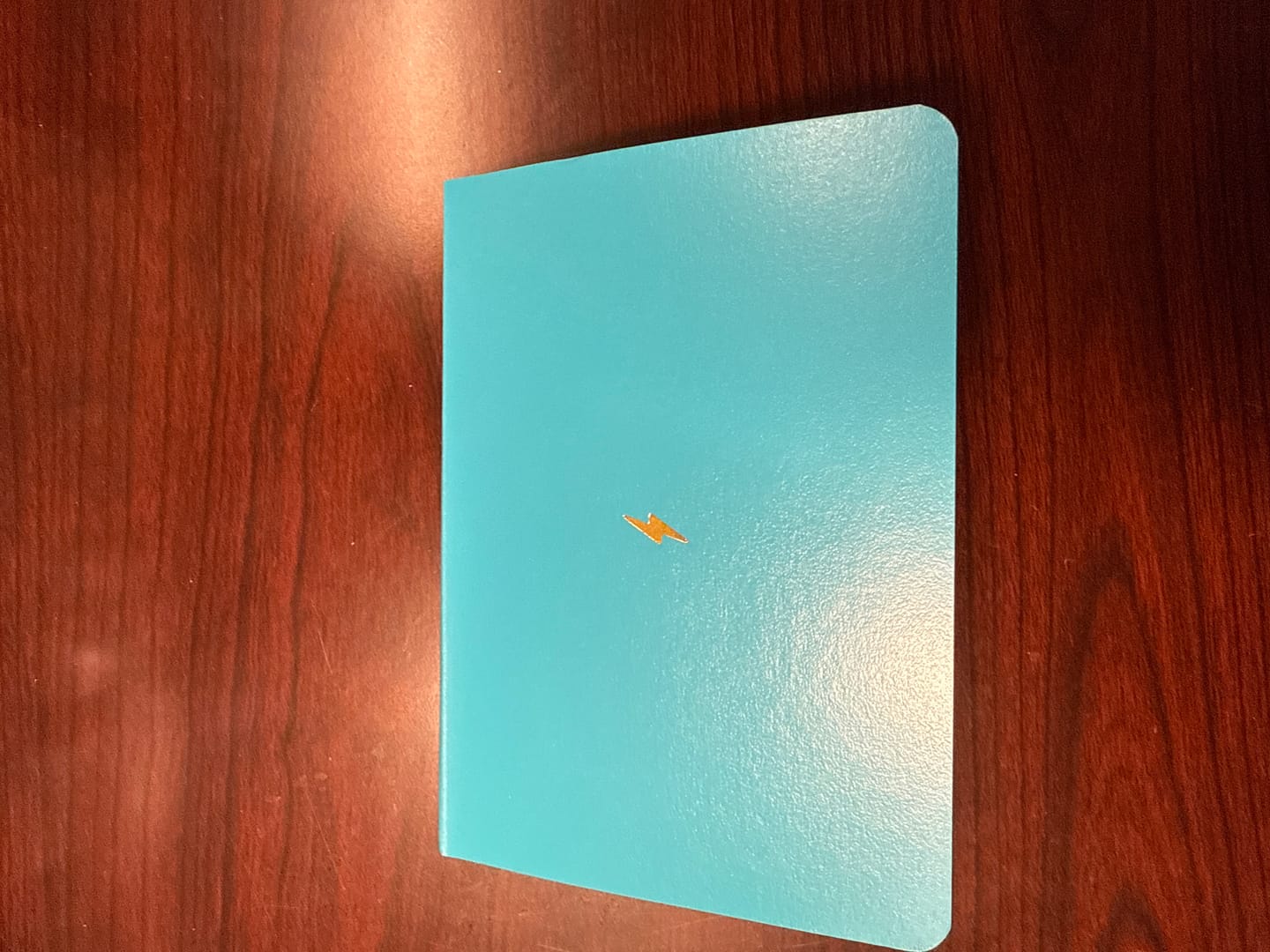 Customer photo review of The Pocket