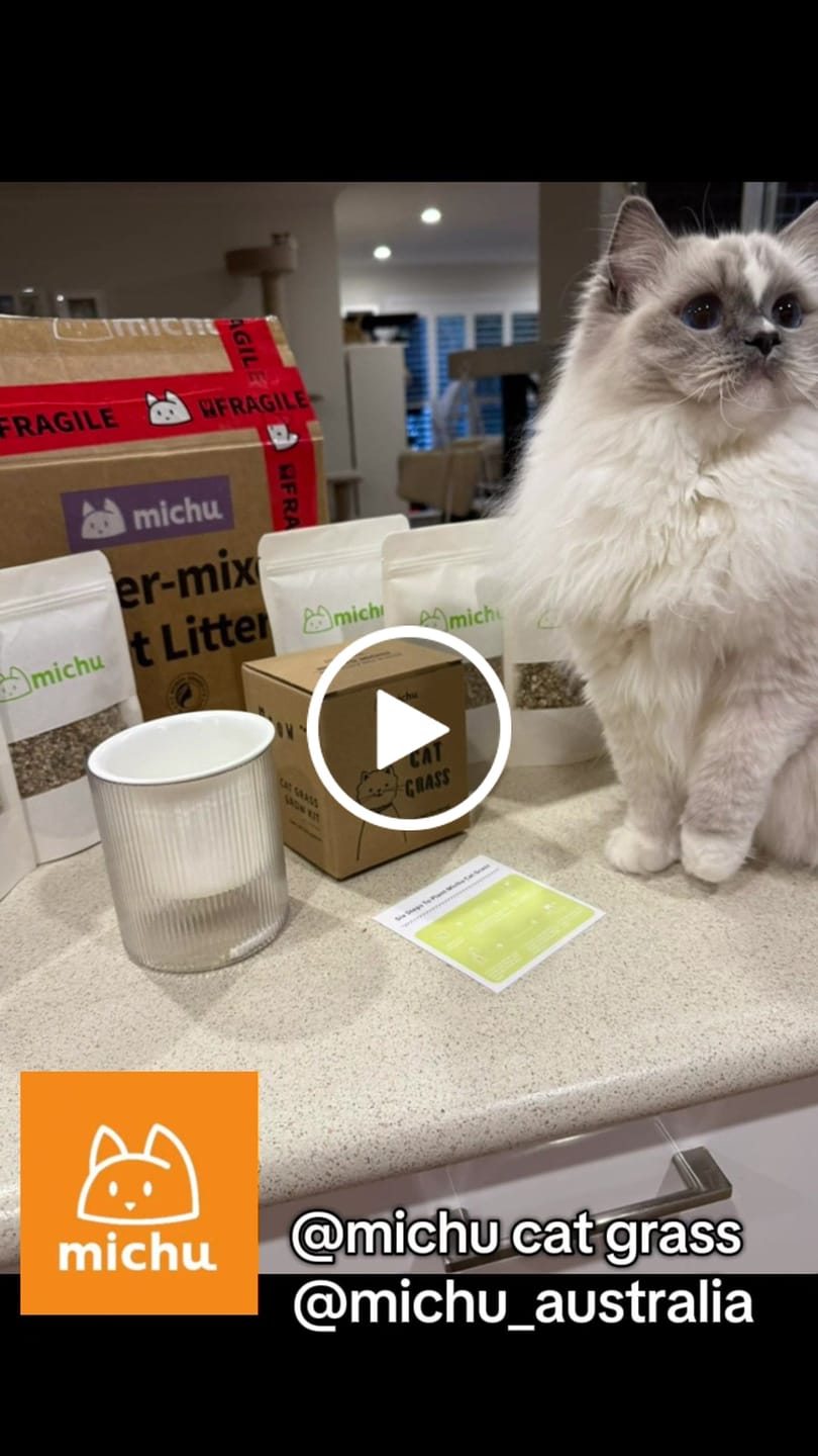 Customer video review of MICHU All-in-One Soil-Free Cat Grass Grow Kit with Australian Seed and Mulch, Made in Australia