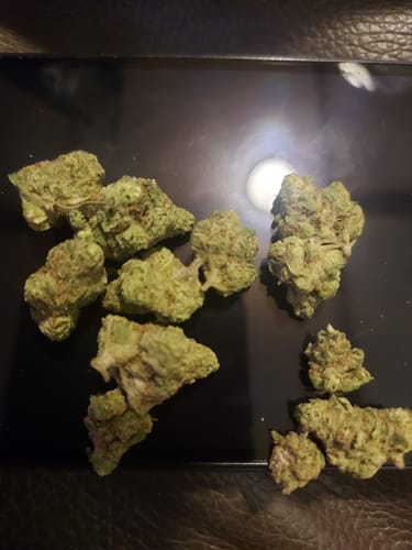 Customer photo review of Super Sonic (smalls)