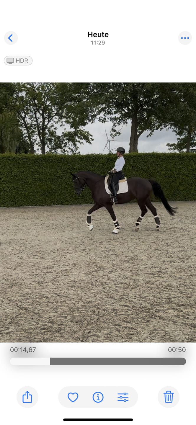 Customer photo review of MUSTAX Sehnen+