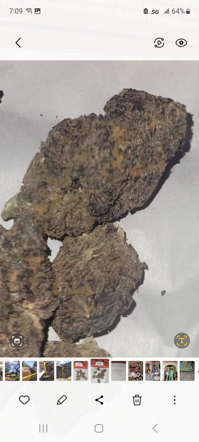 Customer photo review of Danky Kong