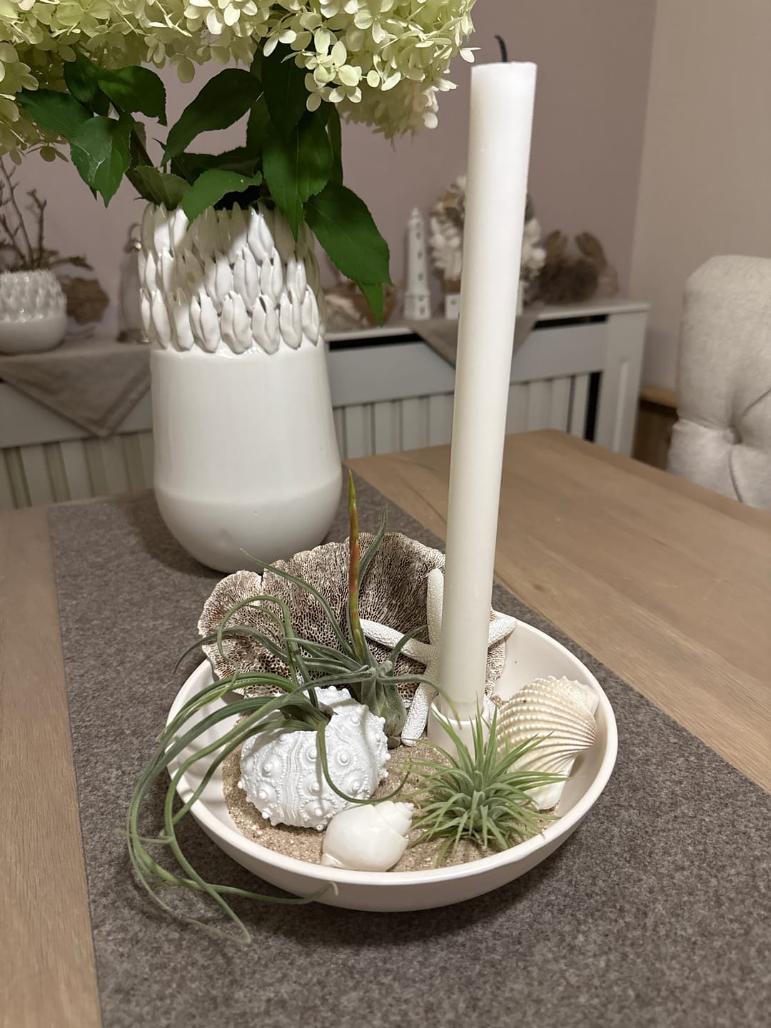 Customer photo review of Tillandsien Anfänger-Set