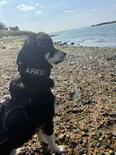 Emma P. review of Personalisation Fee £8.99 image 1 out of 1