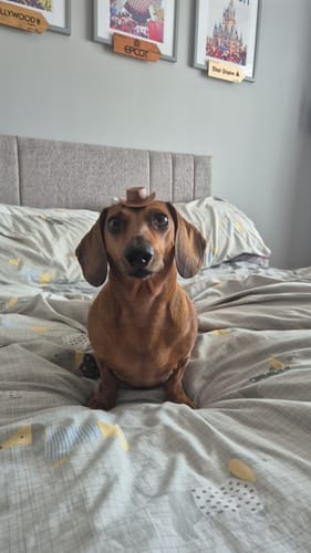 Customer photo review of Monthly Cocktail Subscription Box