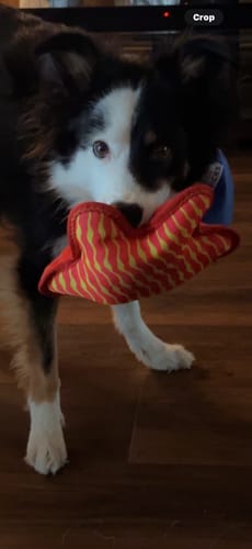 Customer photo review of Clean Earth Plush - 100% Sustainable