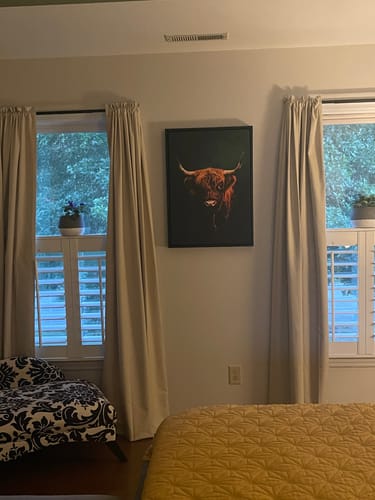 Customer photo review of Highland Cow Print