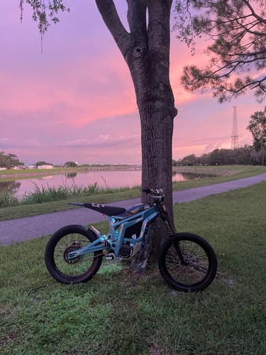 Customer photo review of Swingarm Bearing Kit | Talaria Sting | MX3 / MX4 / MX5