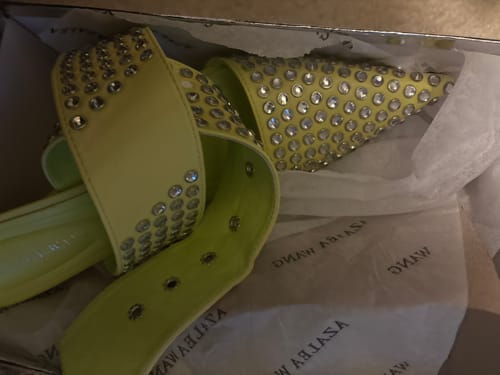 Customer photo review of SALVIA-LIME RHINESTONE STILETTO PUMP