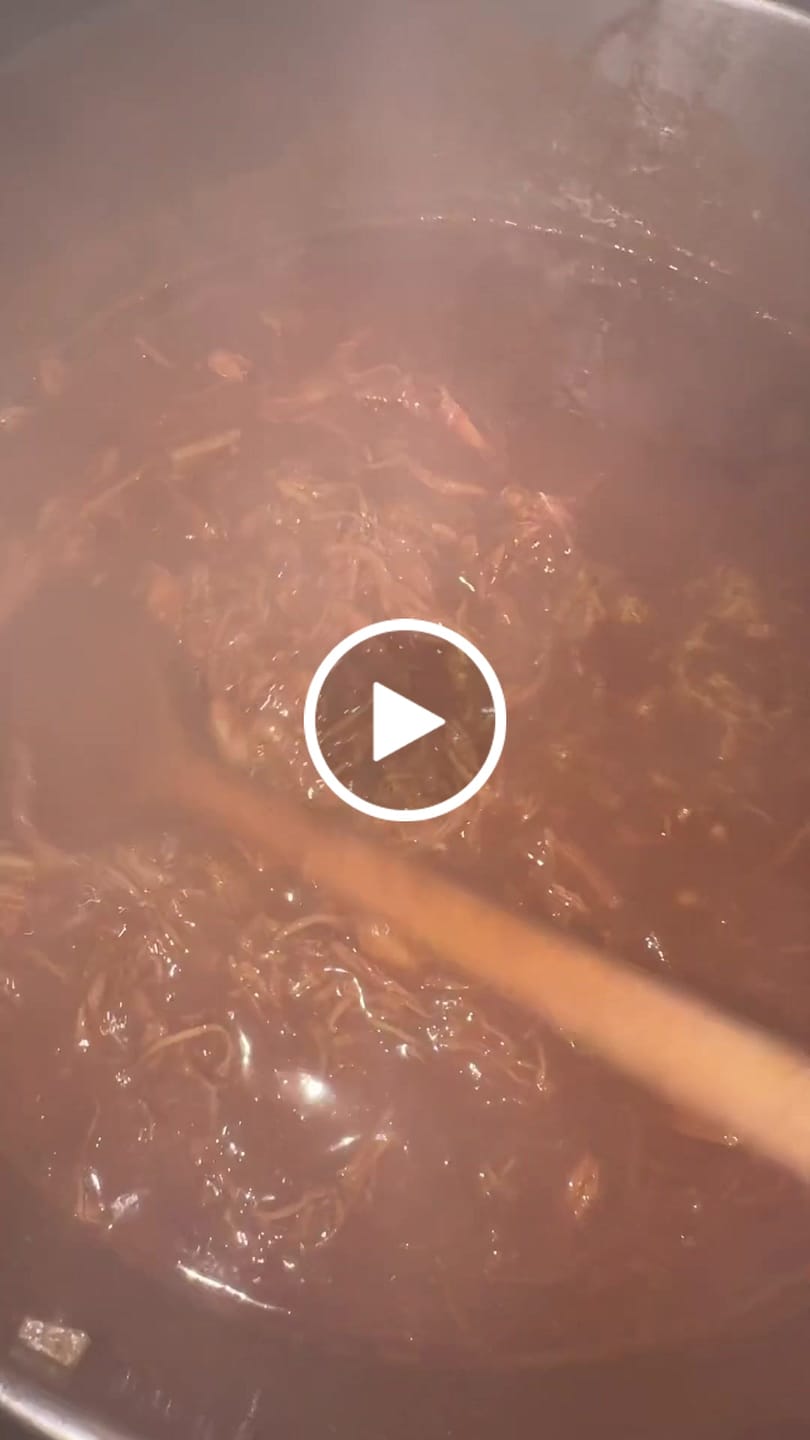 Customer video review of Birria Bomb
