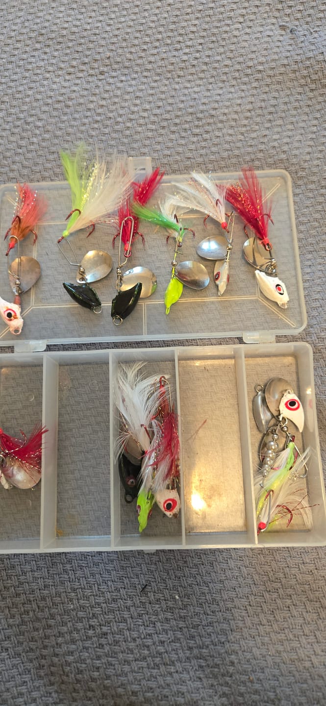 Customer photo review of Music Wire: 0.025" OD x 36" Long (25 Pieces)