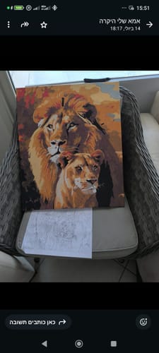 Customer photo review of צביעה לפי מספרים - PBN0155