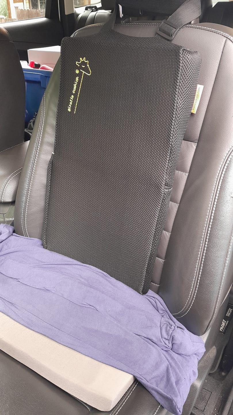 Customer photo review of Giraffe Cushion