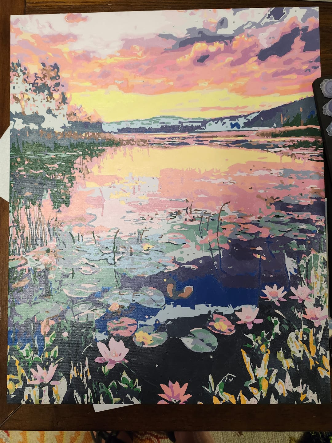 Customer photo review of Lily Sunset