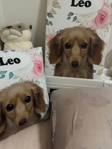 Customer photo review of Petcanva©オーダーメイド ペット似顔絵