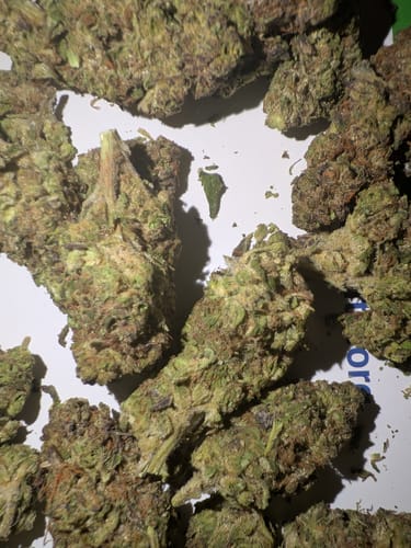 Customer photo review of Shipping Protection by Route