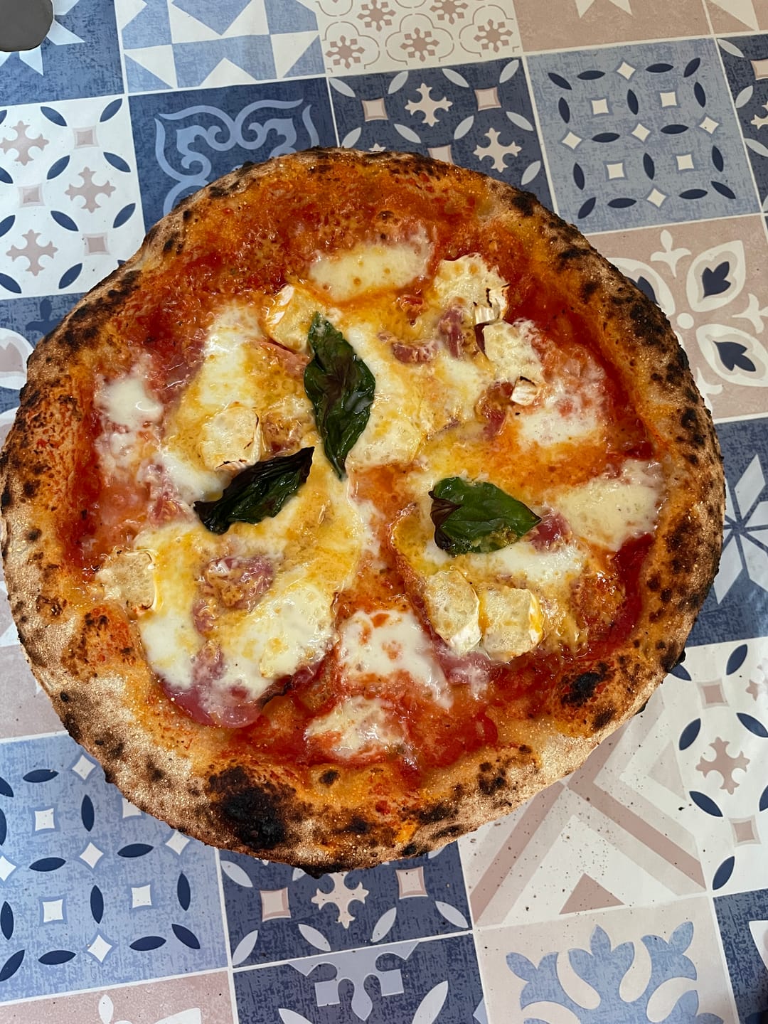 Customer photo review of Macte Ovens Voyager TWIN | Forno elettrico per pizza e pane