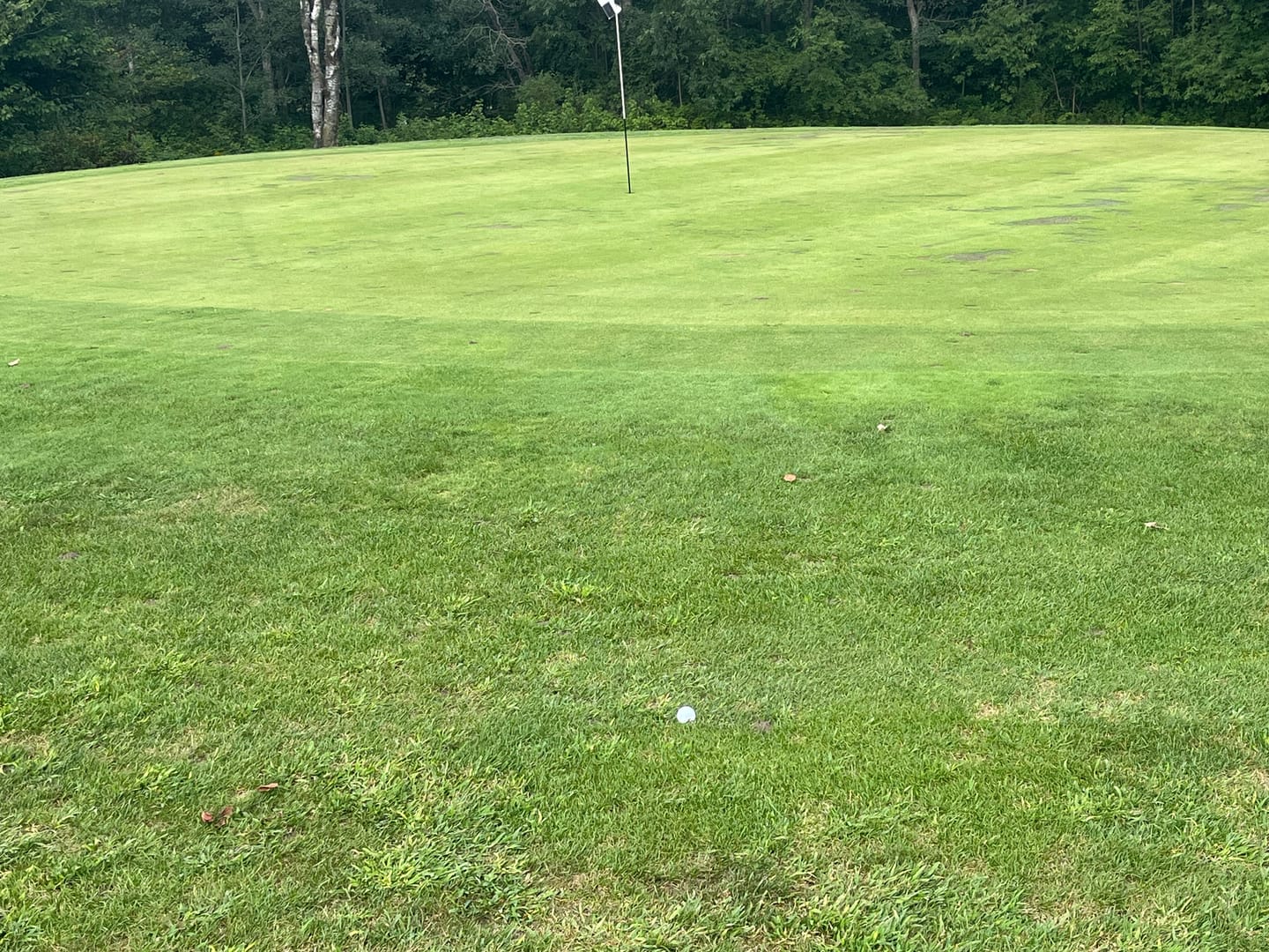 Customer photo review of Exotics C725 Fairway