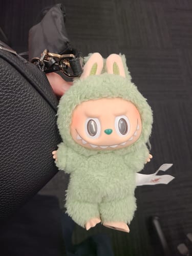 Customer photo review of Pop Mart Labubu The Monsters Tasty Macarons Vinyl Plush Pendant Single Blind Box