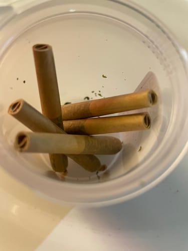 Customer photo review of 5 Pack Dogwalker Prerolls