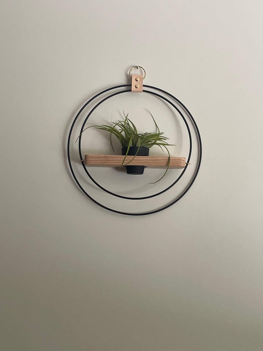 Customer photo review of Air Plant Shelf + Pot Duo