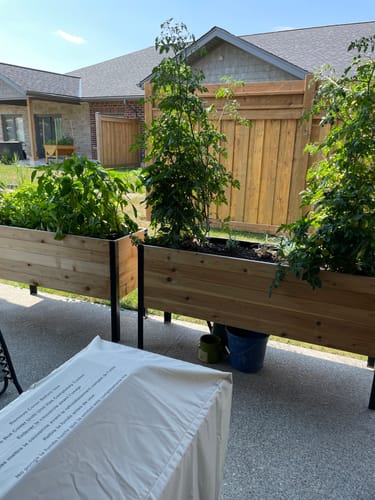 Customer photo review of 18" x 48" Raised Garden Bed - 30" TALL