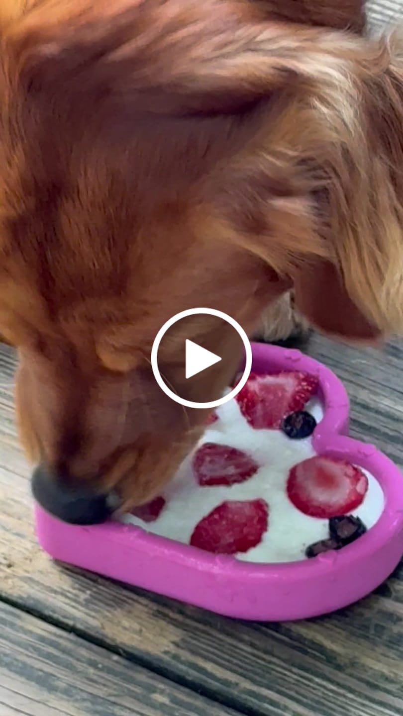 Customer video review of FreezHeart - Durable Heart Enrichment Chew