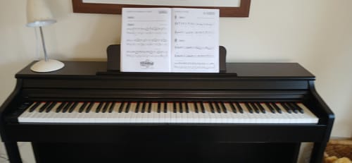 Customer photo review of Donner DDP-100 Digital Piano for Beginners 88-Key Weighted