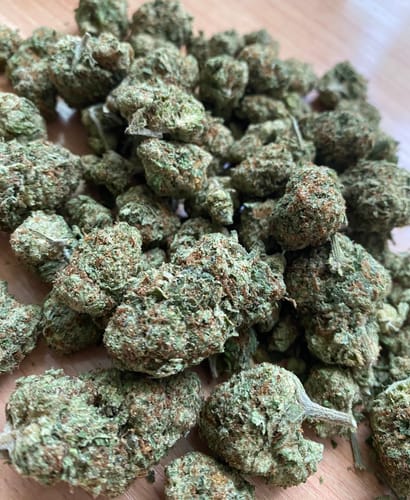 Customer photo review of Key Lime Jack - 28 Grams - Sativa