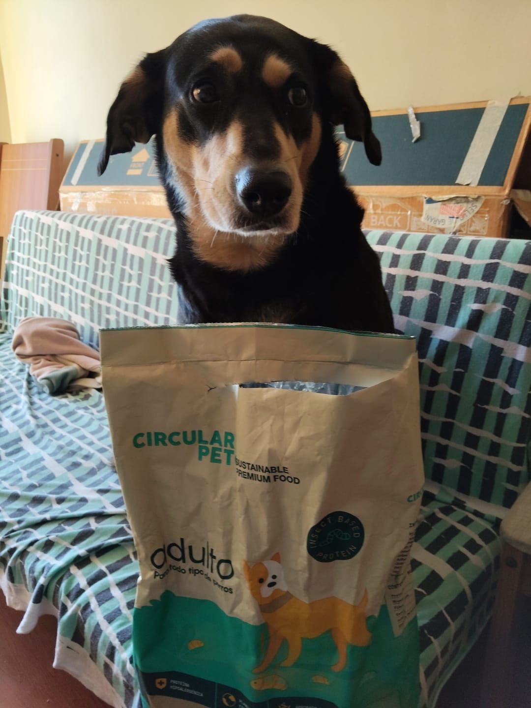Customer photo review of Alimento Perro Adulto Toda Raza Proteína Insectos (Copia SM)
