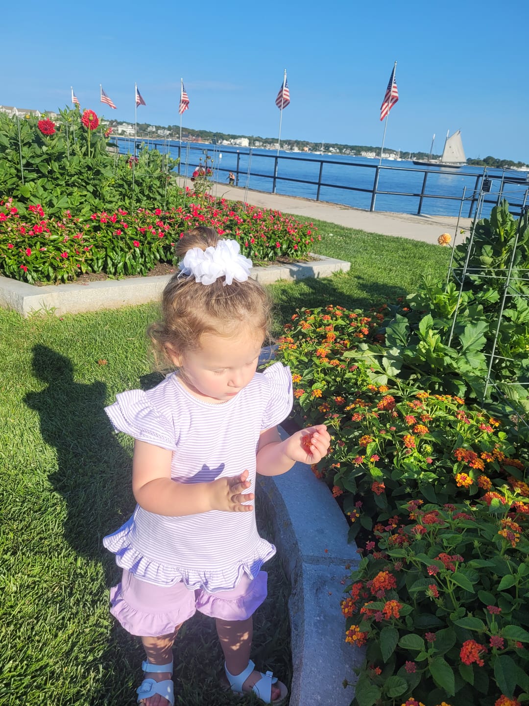 Customer photo review of Milly Stripe Ruffle Short Set Lavender