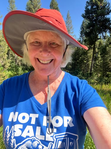 Customer photo review of Not For Sale Public Lands Bulldozer Women's V-Neck Tee