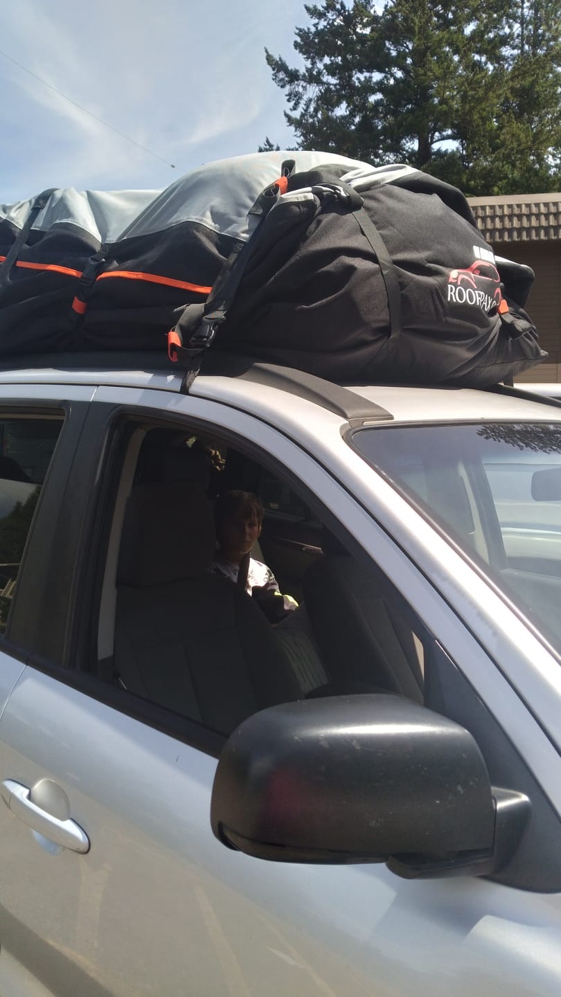 Customer photo review of Car Top Carrier Bag