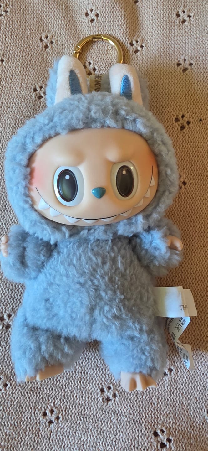 Customer photo review of Pop Mart Labubu The Monsters Exciting Macaron Series Blind Box