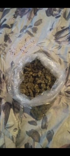 Customer photo review of Cheap THCA Flower Pound