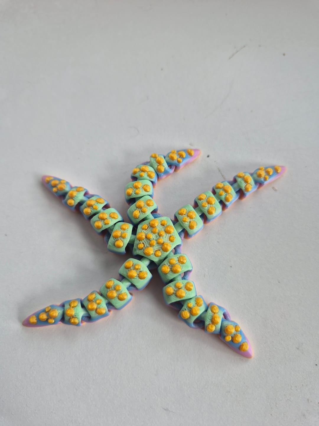 Customer photo review of Starfish