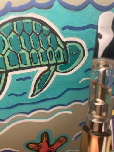 Customer photo review of 1 Gram HHC Full Spectrum Vape Cartridge | Tahoe OG - Indica